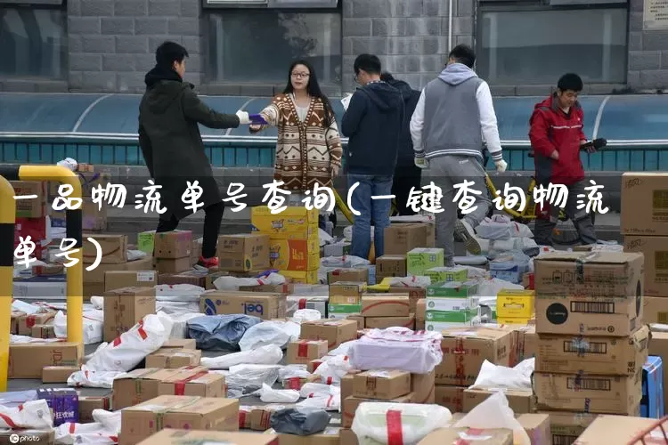 一品物流单号查询(一键查询物流单号)_https://www.senxinmaoyi.com_快递查询_第1张