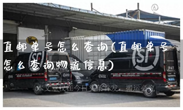 直邮单号怎么查询(直邮单号怎么查询物流信息)_https://www.senxinmaoyi.com_物流查询_第1张