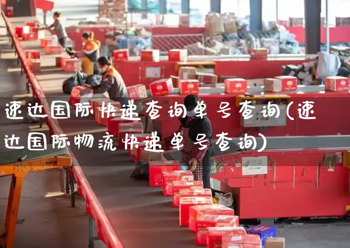 速达国际快递查询单号查询(速达国际物流快递单号查询)_https://www.senxinmaoyi.com_物流查询_第1张