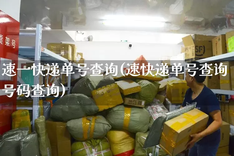 速一快递单号查询(速快递单号查询号码查询)_https://www.senxinmaoyi.com_邮政编码_第1张