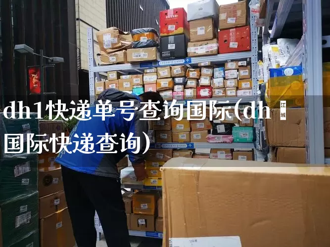 dh1快递单号查询国际(dh乚国际快递查询)_https://www.senxinmaoyi.com_邮政编码_第1张