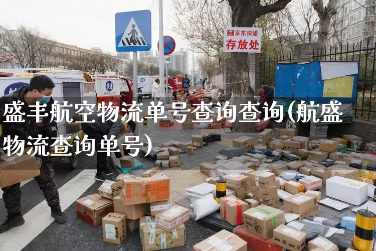 盛丰航空物流单号查询查询(航盛物流查询单号)_https://www.senxinmaoyi.com_邮政编码_第1张