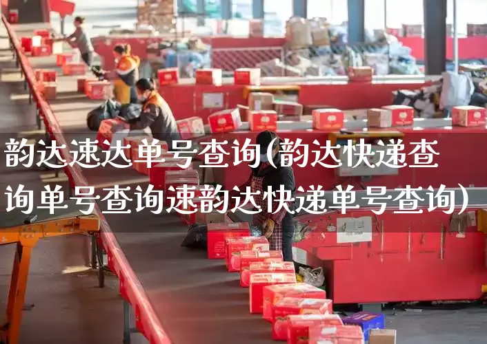 韵达速达单号查询(韵达快递查询单号查询速韵达快递单号查询)_https://www.senxinmaoyi.com_物流单号_第1张