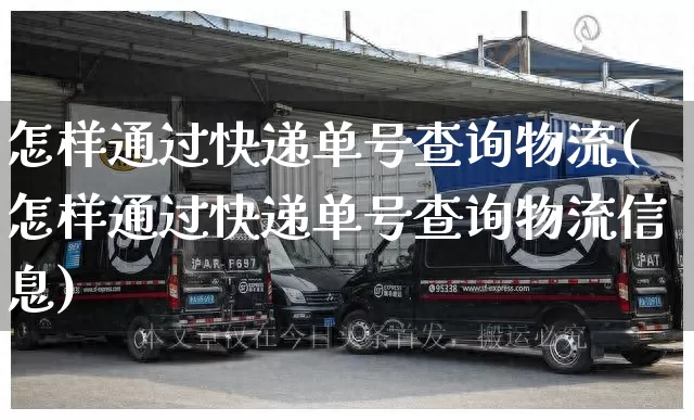 怎样通过快递单号查询物流(怎样通过快递单号查询物流信息)_https://www.senxinmaoyi.com_邮政编码_第1张