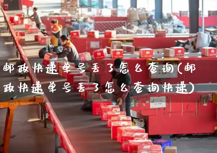 邮政快递单号丢了怎么查询(邮政快递单号丢了怎么查询快递)_https://www.senxinmaoyi.com_快递查询_第1张