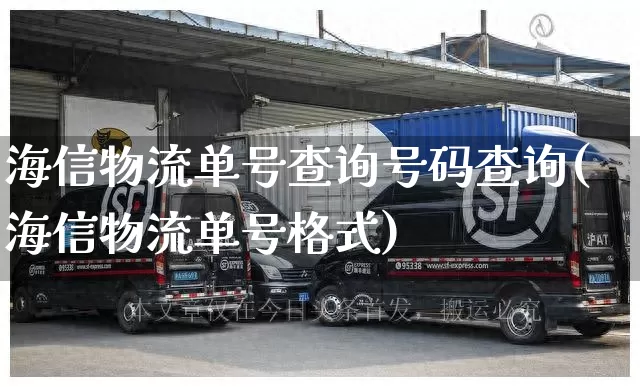海信物流单号查询号码查询(海信物流单号格式)_https://www.senxinmaoyi.com_物流单号_第1张
