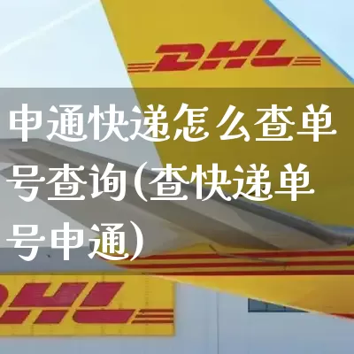 申通快递怎么查单号查询(查快递单号申通)_https://www.senxinmaoyi.com_快递查询_第1张