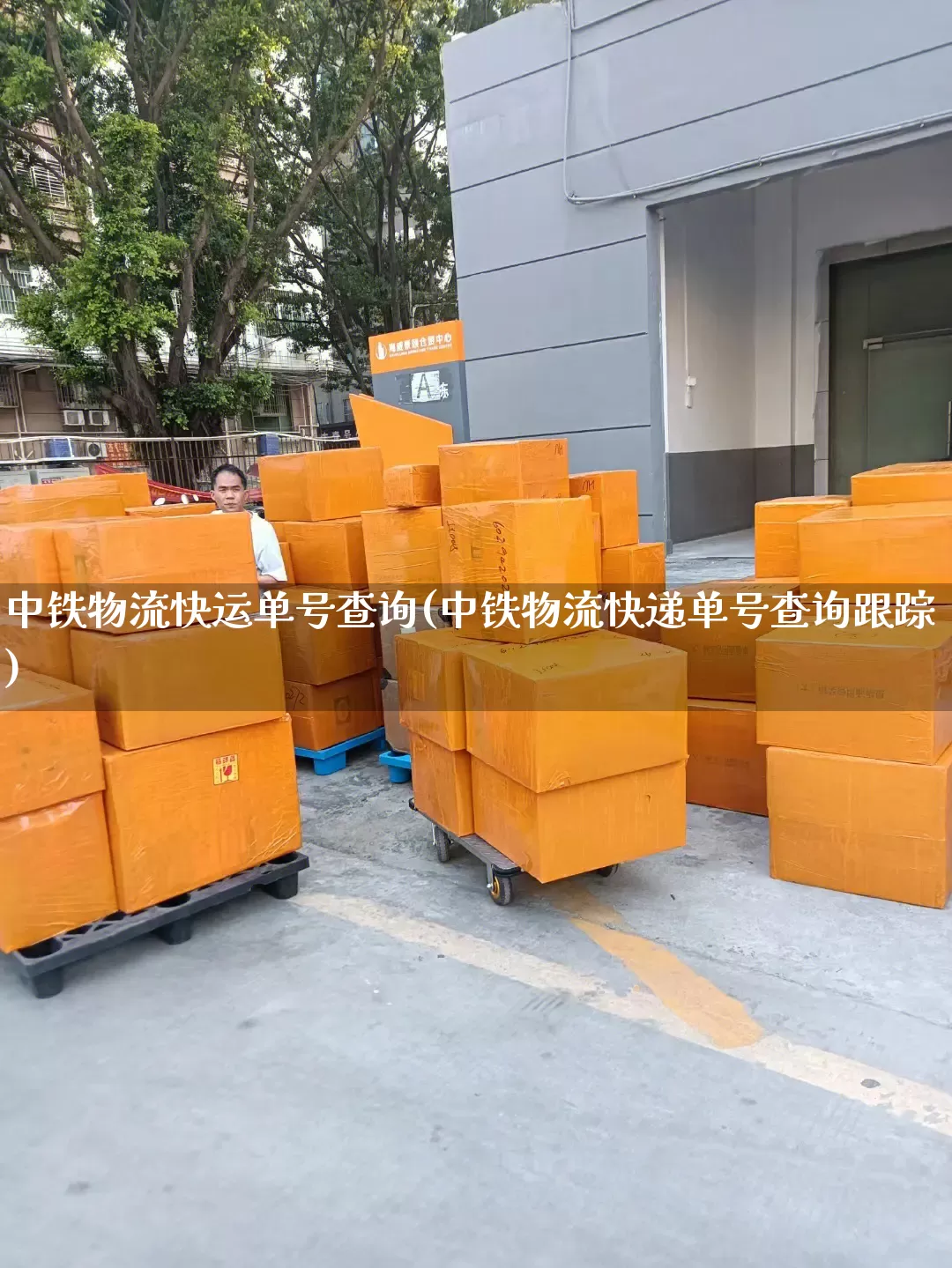 中铁物流快运单号查询(中铁物流快递单号查询跟踪)_https://www.senxinmaoyi.com_物流单号_第1张