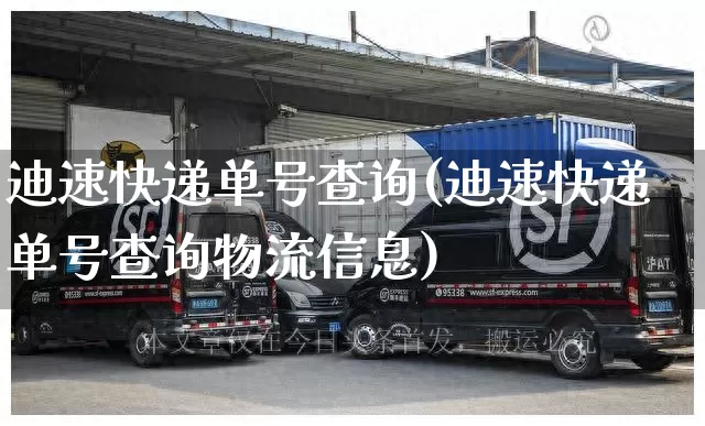 迪速快递单号查询(迪速快递单号查询物流信息)_https://www.senxinmaoyi.com_物流查询_第1张