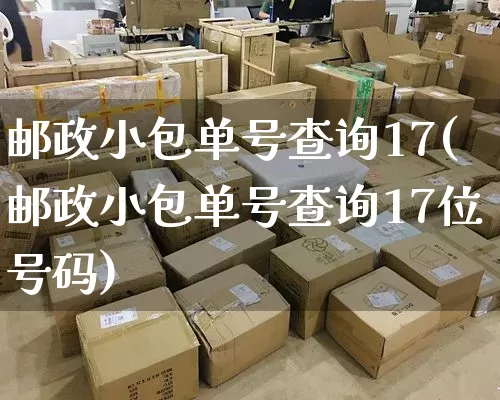 邮政小包单号查询17(邮政小包单号查询17位号码)_https://www.senxinmaoyi.com_物流单号_第1张
