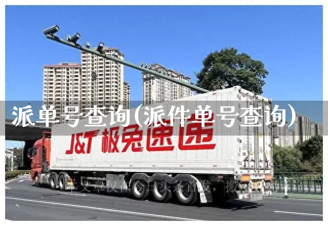 派单号查询(派件单号查询)_https://www.senxinmaoyi.com_物流单号_第1张