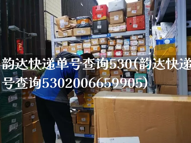 韵达快递单号查询530(韵达快递单号查询5302006659905)_https://www.senxinmaoyi.com_邮政编码_第1张
