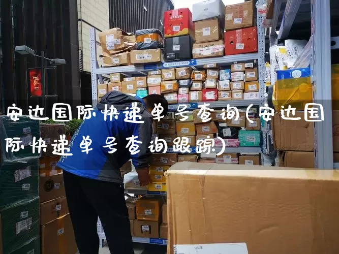 安达国际快递单号查询(安达国际快递单号查询跟踪)_https://www.senxinmaoyi.com_快递查询_第1张