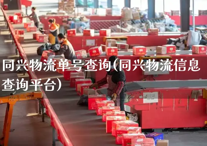 同兴物流单号查询(同兴物流信息查询平台)_https://www.senxinmaoyi.com_物流单号_第1张