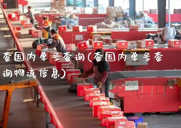 查国内单号查询(查国内单号查询物流信息)_https://www.senxinmaoyi.com_快递查询_第1张