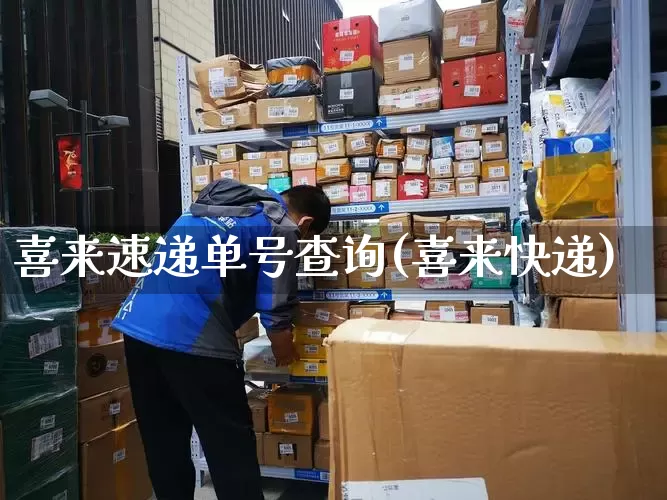 喜来速递单号查询(喜来快递)_https://www.senxinmaoyi.com_物流单号_第1张