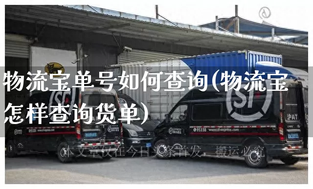 物流宝单号如何查询(物流宝怎样查询货单)_https://www.senxinmaoyi.com_物流单号_第1张