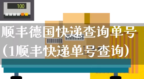 顺丰德国快递查询单号(1顺丰快递单号查询)_https://www.senxinmaoyi.com_邮政编码_第1张