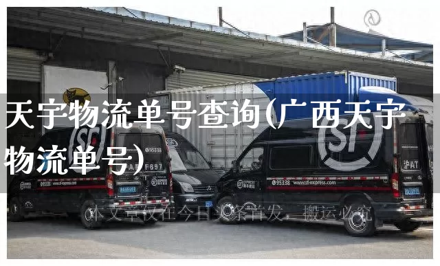 天宇物流单号查询(广西天宇物流单号)_https://www.senxinmaoyi.com_物流单号_第1张
