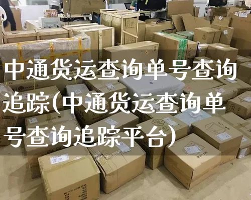 中通货运查询单号查询追踪(中通货运查询单号查询追踪平台)_https://www.senxinmaoyi.com_物流单号_第1张