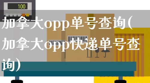 加拿大opp单号查询(加拿大opp快递单号查询)_https://www.senxinmaoyi.com_物流单号_第1张