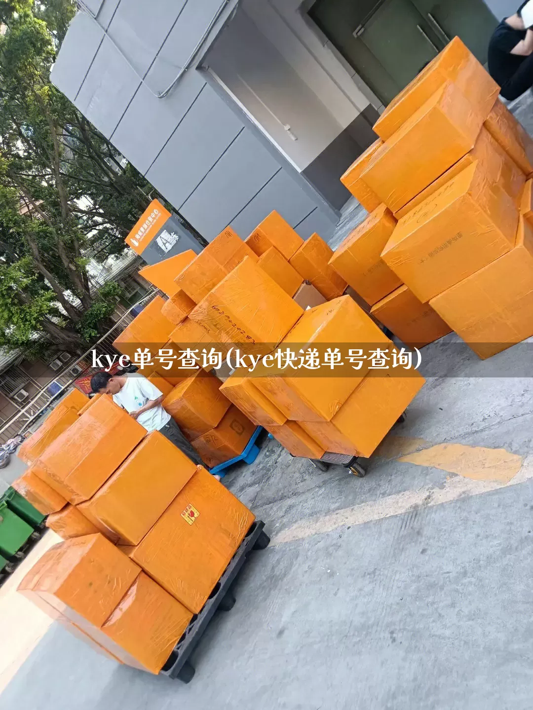kye单号查询(kye快递单号查询)_https://www.senxinmaoyi.com_物流查询_第1张