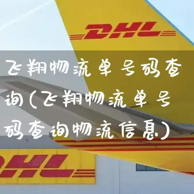 飞翔物流单号码查询(飞翔物流单号码查询物流信息)_https://www.senxinmaoyi.com_邮政编码_第1张