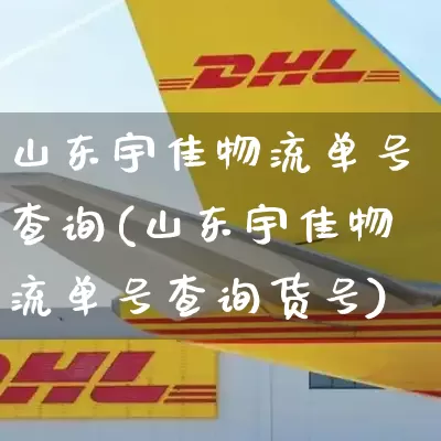 山东宇佳物流单号查询(山东宇佳物流单号查询货号)_https://www.senxinmaoyi.com_邮政编码_第1张