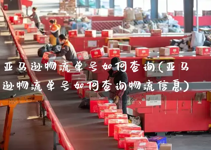 亚马逊物流单号如何查询(亚马逊物流单号如何查询物流信息)_https://www.senxinmaoyi.com_物流单号_第1张