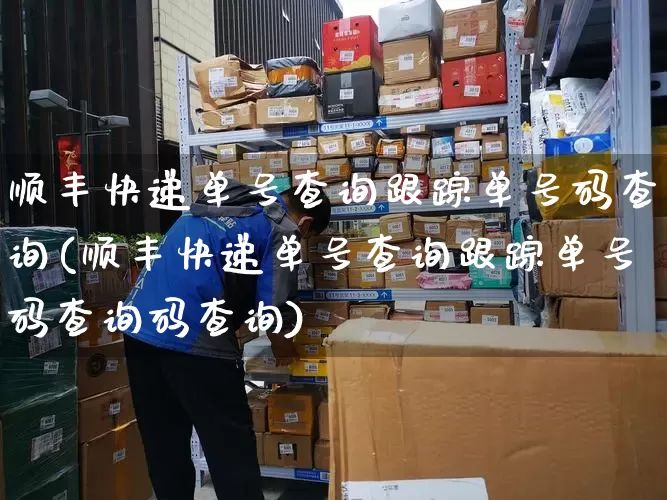 顺丰快递单号查询跟踪单号码查询(顺丰快递单号查询跟踪单号码查询码查询)_https://www.senxinmaoyi.com_物流查询_第1张