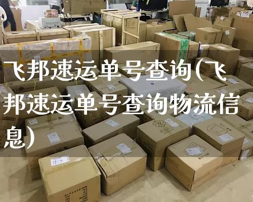 飞邦速运单号查询(飞邦速运单号查询物流信息)_https://www.senxinmaoyi.com_邮政编码_第1张