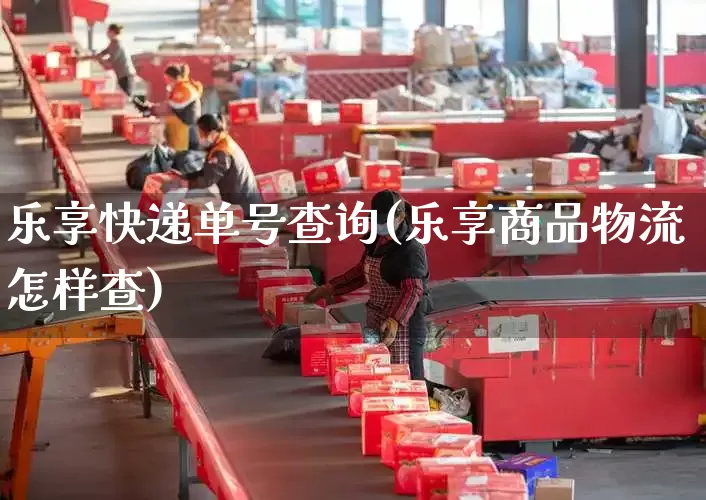 乐享快递单号查询(乐享商品物流怎样查)_https://www.senxinmaoyi.com_邮政编码_第1张