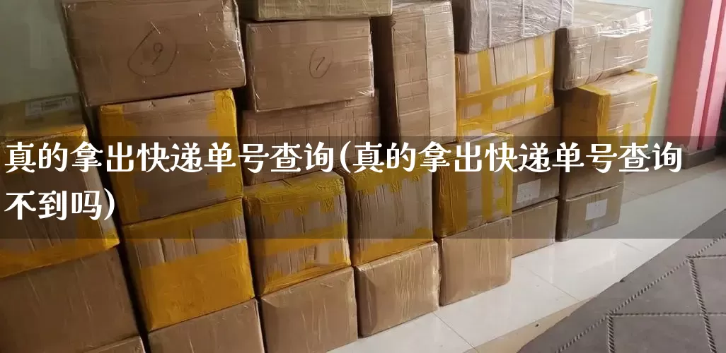 真的拿出快递单号查询(真的拿出快递单号查询不到吗)_https://www.senxinmaoyi.com_物流单号_第1张