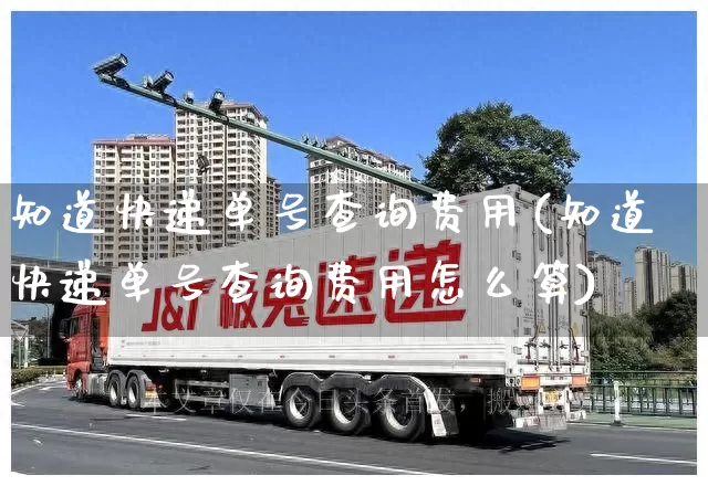 知道快递单号查询费用(知道快递单号查询费用怎么算)_https://www.senxinmaoyi.com_邮政编码_第1张