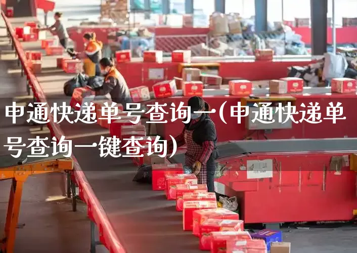 申通快递单号查询一(申通快递单号查询一键查询)_https://www.senxinmaoyi.com_物流查询_第1张