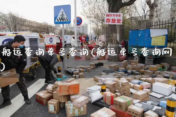 船运查询单号查询(船运单号查询网)_https://www.senxinmaoyi.com_物流查询_第1张