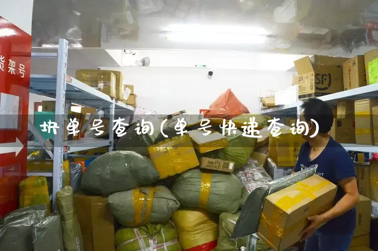 块单号查询(单号快递查询)_https://www.senxinmaoyi.com_物流查询_第1张