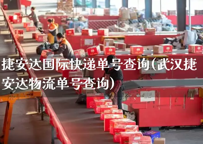 捷安达国际快递单号查询(武汉捷安达物流单号查询)_https://www.senxinmaoyi.com_物流单号_第1张