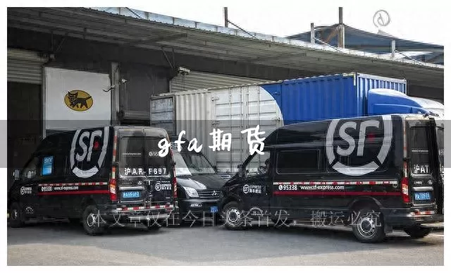 gfa期货_https://www.senxinmaoyi.com_邮政编码_第1张