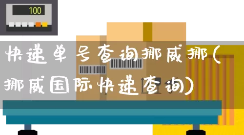 快递单号查询挪威挪(挪威国际快递查询)_https://www.senxinmaoyi.com_物流单号_第1张