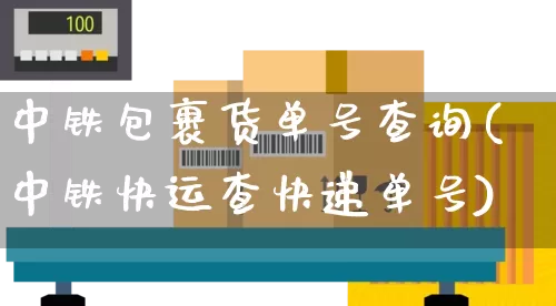 中铁包裹货单号查询(中铁快运查快递单号)_https://www.senxinmaoyi.com_邮政编码_第1张