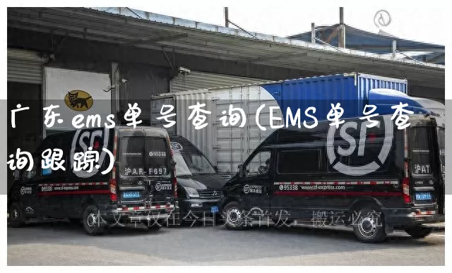 广东ems单号查询(EMS单号查询跟踪)_https://www.senxinmaoyi.com_快递查询_第1张