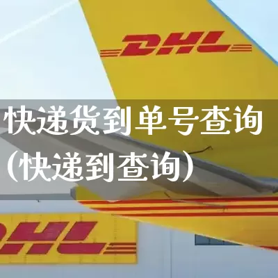 快递货到单号查询(快递到查询)_https://www.senxinmaoyi.com_邮政编码_第1张
