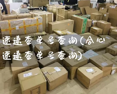速递查单号查询(合心速递查单号查询)_https://www.senxinmaoyi.com_快递查询_第1张