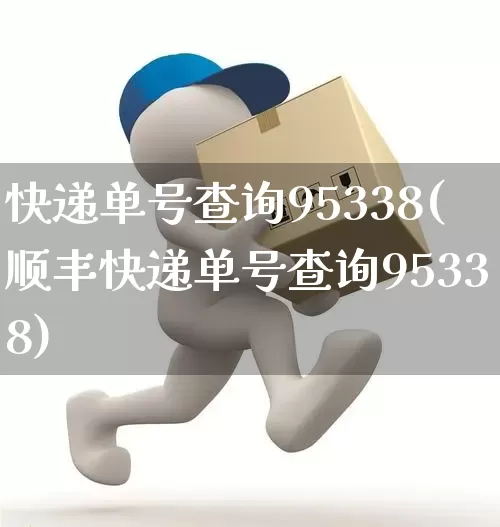 快递单号查询95338(顺丰快递单号查询95338)_https://www.senxinmaoyi.com_快递查询_第1张