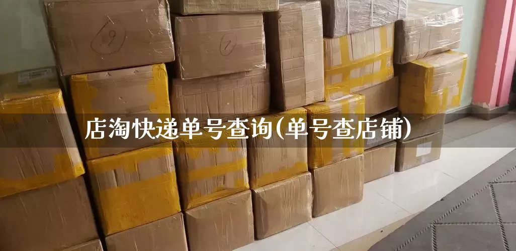 店淘快递单号查询(单号查店铺)_https://www.senxinmaoyi.com_物流单号_第1张