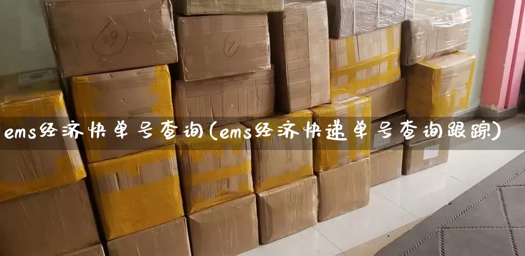 ems经济快单号查询(ems经济快递单号查询跟踪)_https://www.senxinmaoyi.com_物流单号_第1张