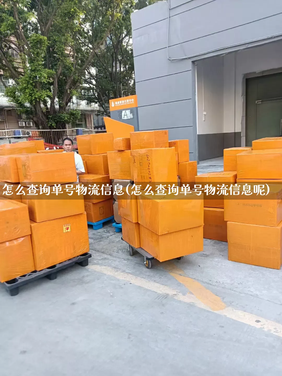 怎么查询单号物流信息(怎么查询单号物流信息呢)_https://www.senxinmaoyi.com_物流单号_第1张