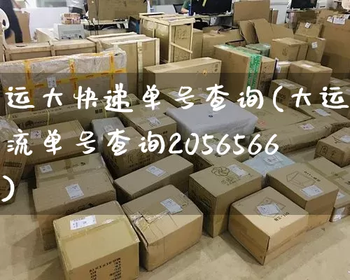 运大快递单号查询(大运物流单号查询2056566)_https://www.senxinmaoyi.com_邮政编码_第1张