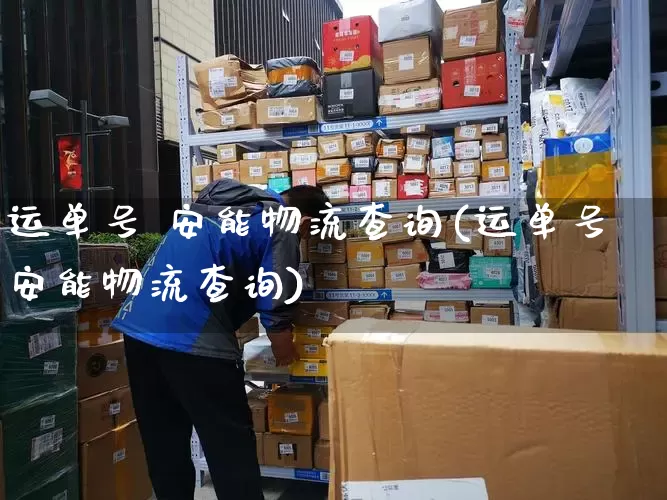 运单号 安能物流查询(运单号安能物流查询)_https://www.senxinmaoyi.com_物流单号_第1张